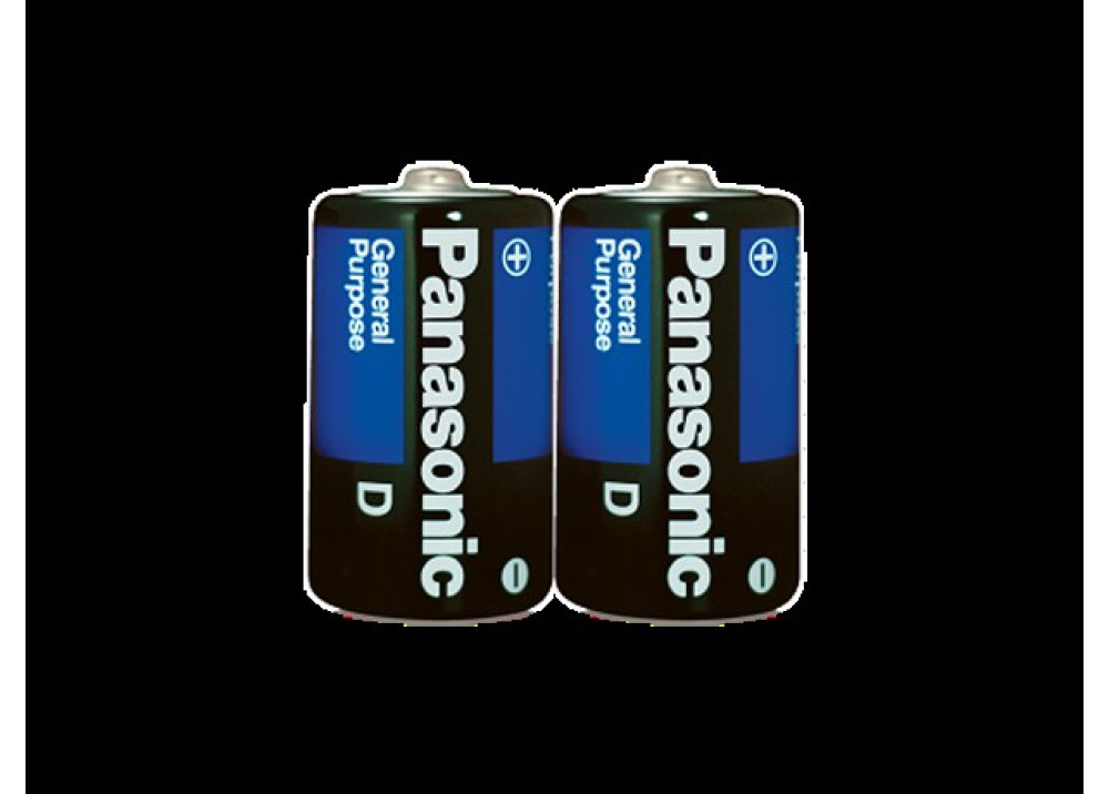 Panasonic Battery D Size 1.5V 1*2.PCs 